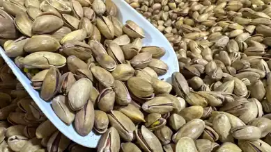 Türkiye'den 229 Milyon Dolarlık Fıstık İhracatı
