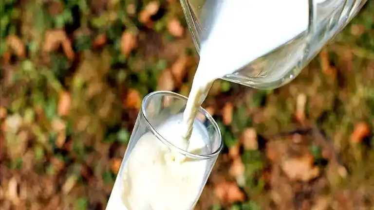 Çiğ İnek Sütü Fiyatı Belirlendi: Litre Başına 18,35 TL