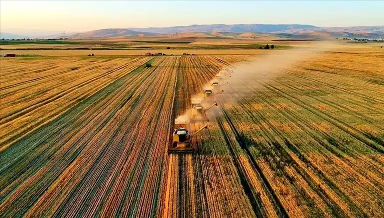Temmuz 2025 Çiftçi Destek Ödemeleri Yattı mı?
