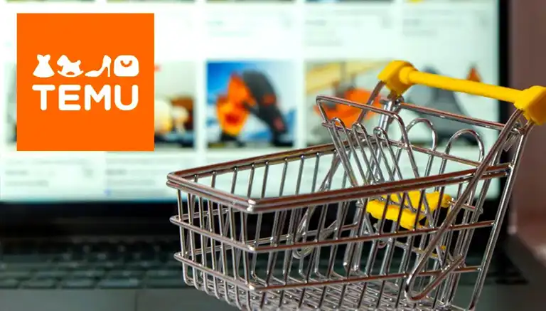Temu'ya Erişim Engeli Gelebilir mi? E-Ticaret Denetimi Başladı